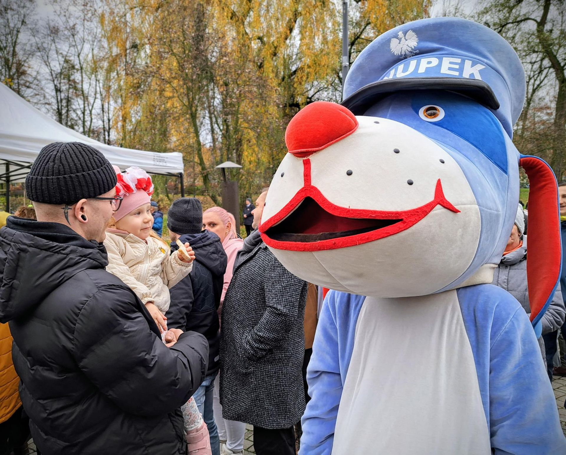 piknik militarny piknik militarny